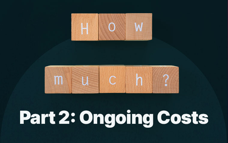 Wooden blocks with letters spelling out how much? on a dark blue background